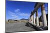 Forum and Vesuvius, Roman Ruins of Pompeii, UNESCO World Heritage Site, Campania, Italy, Europe-Eleanor Scriven-Mounted Photographic Print