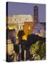 Forum Romanum, Coliseum, Rome, Lazio, Italy-Rainer Mirau-Stretched Canvas