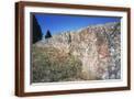 Brown Frame