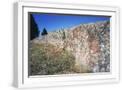 White Frame
