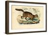 Fossa, 1863-79-Raimundo Petraroja-Framed Giclee Print