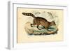 Fossa, 1863-79-Raimundo Petraroja-Framed Giclee Print