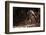 Fossa male prowling in dry deciduous forest, Madagascar-Alex Hyde-Framed Photographic Print