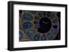 Fossil ammonite under UV light, Madagascar-John Cancalosi-Framed Photographic Print