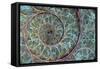 Fossil Ammonite-null-Framed Stretched Canvas