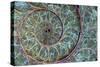 Fossil Ammonite-null-Stretched Canvas