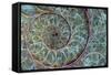 Fossil Ammonite-null-Framed Stretched Canvas