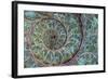 Fossil Ammonite-null-Framed Photographic Print