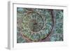 Fossil Ammonite-null-Framed Photographic Print