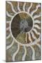 Fossil Ammonite-null-Mounted Photographic Print