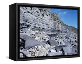Fossil Bearing Lias Beds, Seven Rock Point, Jurassic Coast, Lyme Regis-Cyndy Black-Framed Stretched Canvas