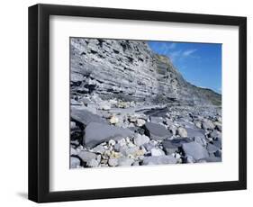 Fossil Bearing Lias Beds, Seven Rock Point, Jurassic Coast, Lyme Regis-Cyndy Black-Framed Photographic Print