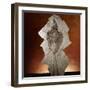 Fossil Bird-Layne Kennedy-Framed Photographic Print