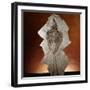 Fossil Bird-Layne Kennedy-Framed Photographic Print