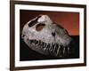 Fossil Crocodile Skull-Layne Kennedy-Framed Photographic Print