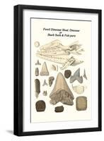 Fossil Dinosaur Head, Dinosaur or Shark Teeth and Fish Parts-James Parkinson-Framed Art Print