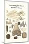 Fossil Dinosaur Head, Dinosaur or Shark Teeth and Fish Parts-James Parkinson-Mounted Art Print