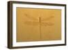 Fossil Dragonfly, Green River Formation-null-Framed Photographic Print