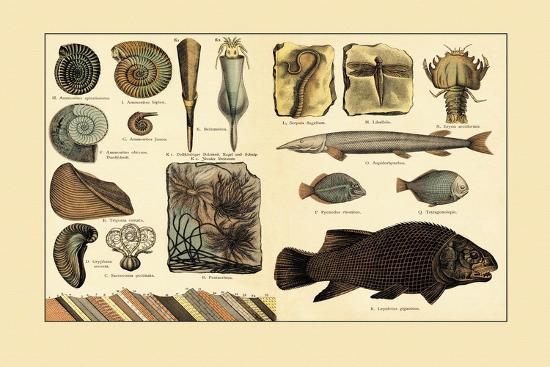Art Print, , large