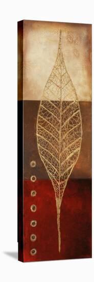 Fossil Leaves II-Patricia Pinto-Stretched Canvas