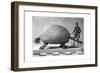 Fossil of a Giant Armadillo from South America, C1890-null-Framed Giclee Print