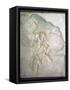 Fossil of Archaeopteryx Lithographica. Late Jurassic, (20th century)-Unknown-Framed Stretched Canvas