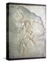 Fossil of Archaeopteryx Lithographica. Late Jurassic, (20th century)-Unknown-Stretched Canvas