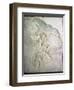 Fossil of Archaeopteryx Lithographica. Late Jurassic, (20th century)-Unknown-Framed Giclee Print