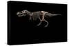 Fossil of Tyrannosaurus Rex Sue....-Ira Block-Stretched Canvas