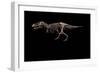 Fossil of Tyrannosaurus Rex Sue....-Ira Block-Framed Giclee Print
