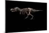 Fossil of Tyrannosaurus Rex Sue....-Ira Block-Mounted Giclee Print