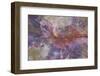 Fossil, petrified logs, have been totally replaced by quartz, Arizona-David Hosking-Framed Photographic Print