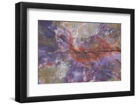 Fossil, petrified logs, have been totally replaced by quartz, Arizona-David Hosking-Framed Photographic Print