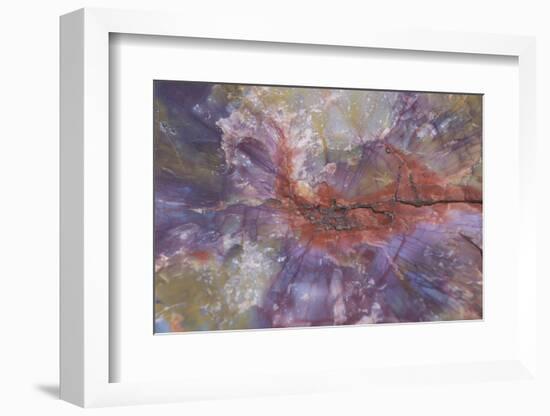 Fossil, petrified logs, have been totally replaced by quartz, Arizona-David Hosking-Framed Photographic Print