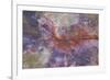 Fossil, petrified logs, have been totally replaced by quartz, Arizona-David Hosking-Framed Photographic Print