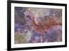 Fossil, petrified logs, have been totally replaced by quartz, Arizona-David Hosking-Framed Photographic Print