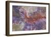 Fossil, petrified logs, have been totally replaced by quartz, Arizona-David Hosking-Framed Photographic Print