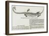 Fossil Plesiosaurus Recently Found at Street, Near Glastonbury-null-Framed Giclee Print