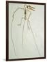 Fossil Pterosaur Ramphorhynchus gemmingi found in Bavaria-Kevin Schafer-Framed Photographic Print