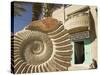 Fossil Shop, Erfoud, Ziz Valley, Morocco-Walter Bibikow-Stretched Canvas