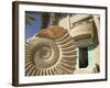 Fossil Shop, Erfoud, Ziz Valley, Morocco-Walter Bibikow-Framed Photographic Print