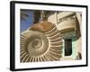 Fossil Shop, Erfoud, Ziz Valley, Morocco-Walter Bibikow-Framed Photographic Print