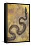 Fossil Snake from the Messel Lake Oil Shale Deposit-null-Framed Stretched Canvas