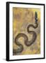 Fossil Snake from the Messel Lake Oil Shale Deposit-null-Framed Photographic Print