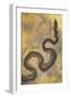 Fossil Snake from the Messel Lake Oil Shale Deposit-null-Framed Photographic Print