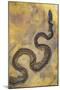 Fossil Snake from the Messel Lake Oil Shale Deposit-null-Mounted Photographic Print