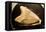 Fossil Tooth of Megalodon or Megatooth Shark Oceanopolis-null-Framed Stretched Canvas