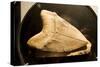 Fossil Tooth of Megalodon or Megatooth Shark Oceanopolis-null-Stretched Canvas