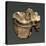 Fossil Tooth of Saber-Toothed Cat-null-Stretched Canvas