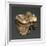 Fossil Tooth of Saber-Toothed Cat-null-Framed Giclee Print